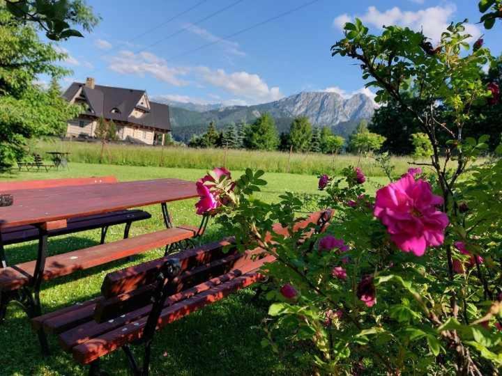 Dom Goscinny Efka Kościelisko Dış mekan fotoğraf