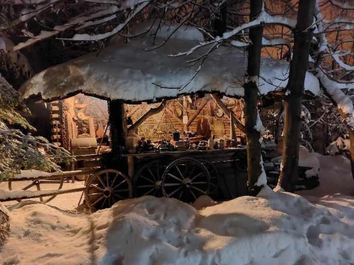 Dom Goscinny Efka Kościelisko Dış mekan fotoğraf