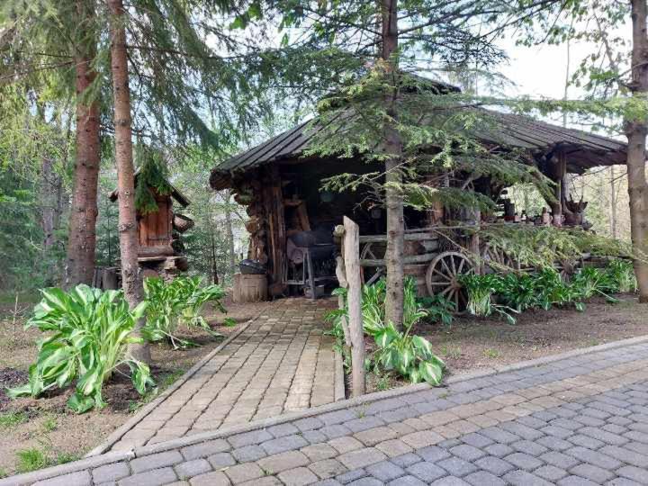 Dom Goscinny Efka Kościelisko Dış mekan fotoğraf
