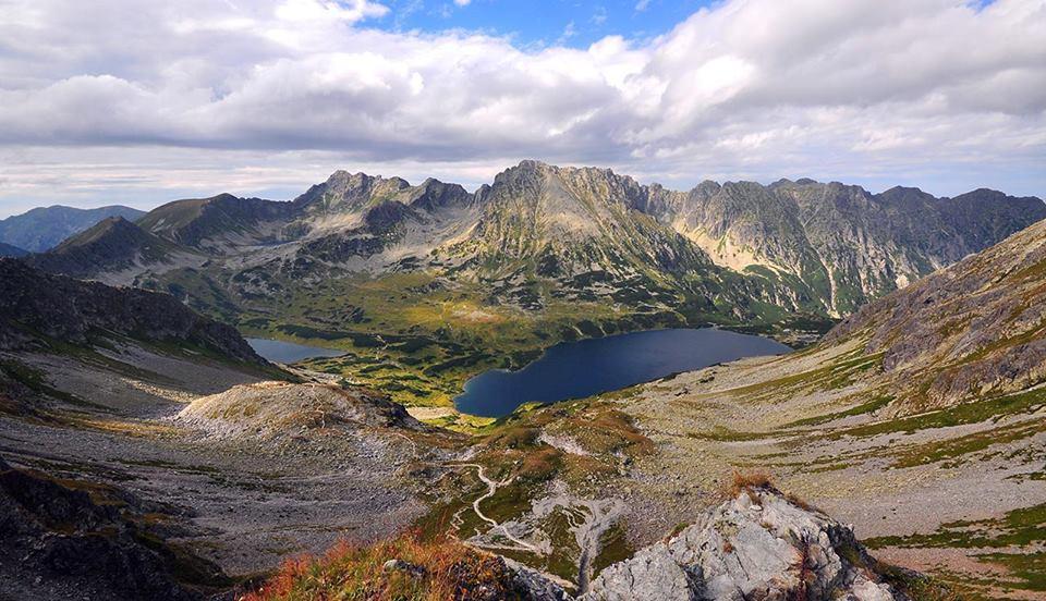 Dom Goscinny Efka Kościelisko Dış mekan fotoğraf